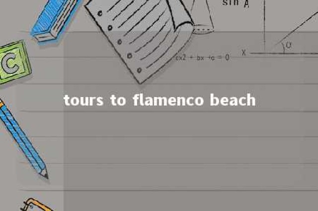 tours to flamenco beach 